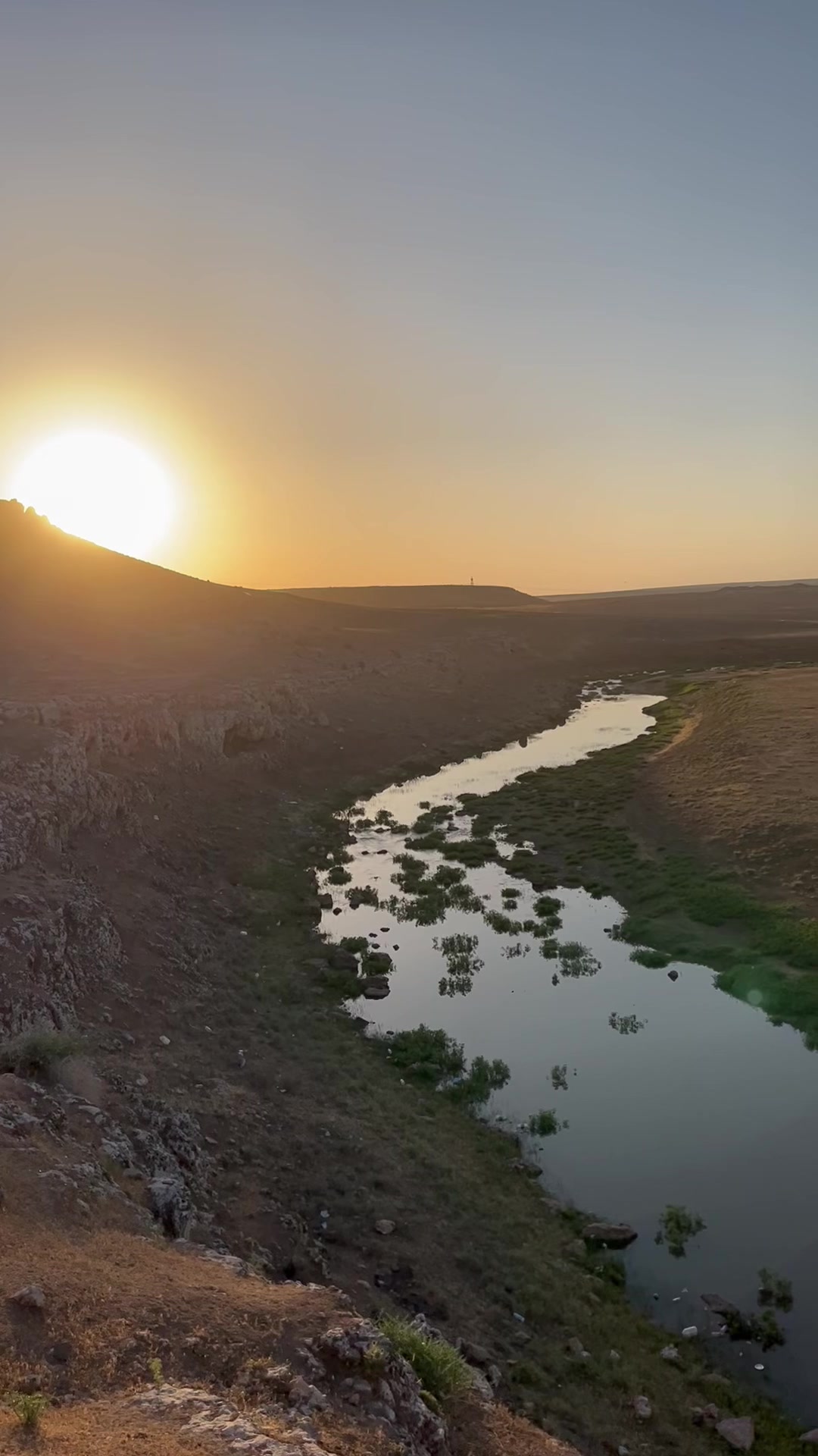 @Mustafa Şahin