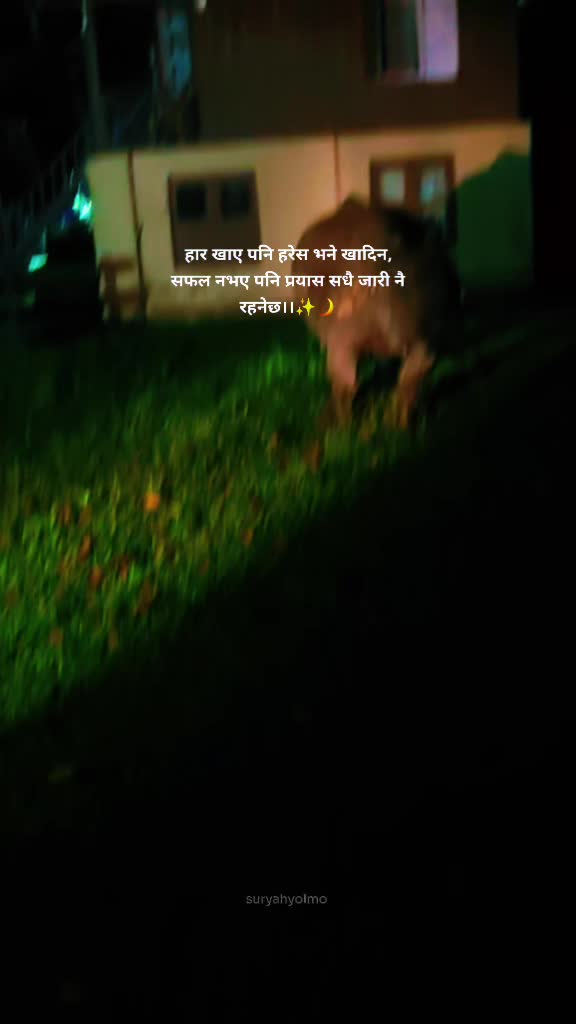 @Geeta Dristee