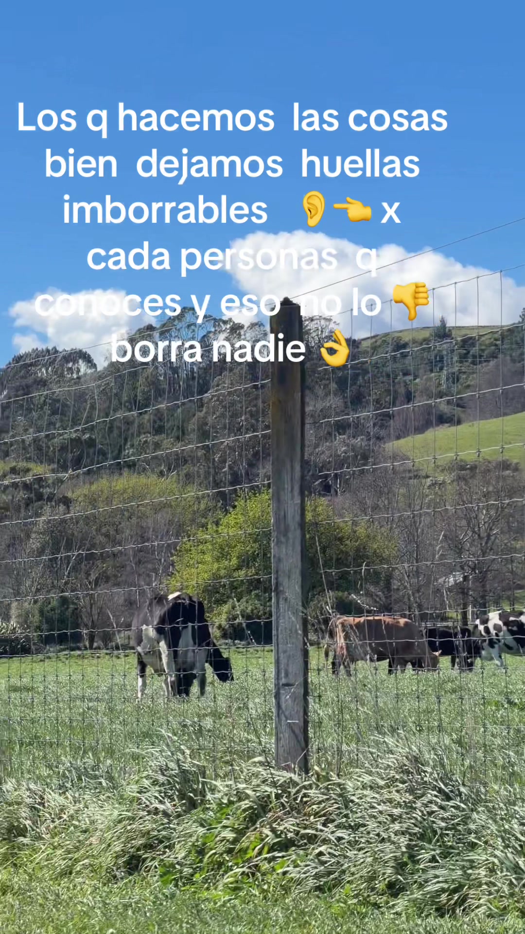 @María luz González Fernández