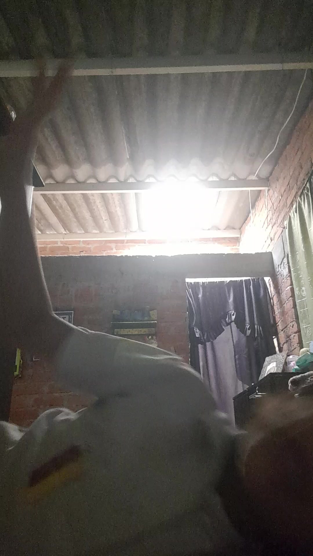 @sofiaangel