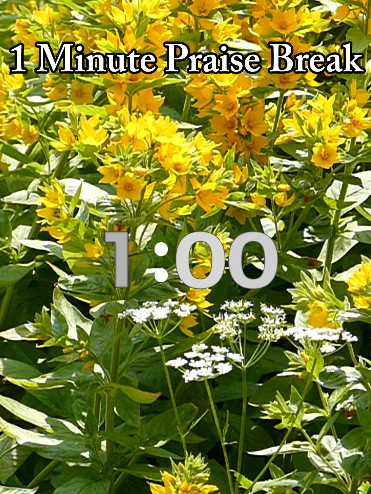 @ThePraiseSpot