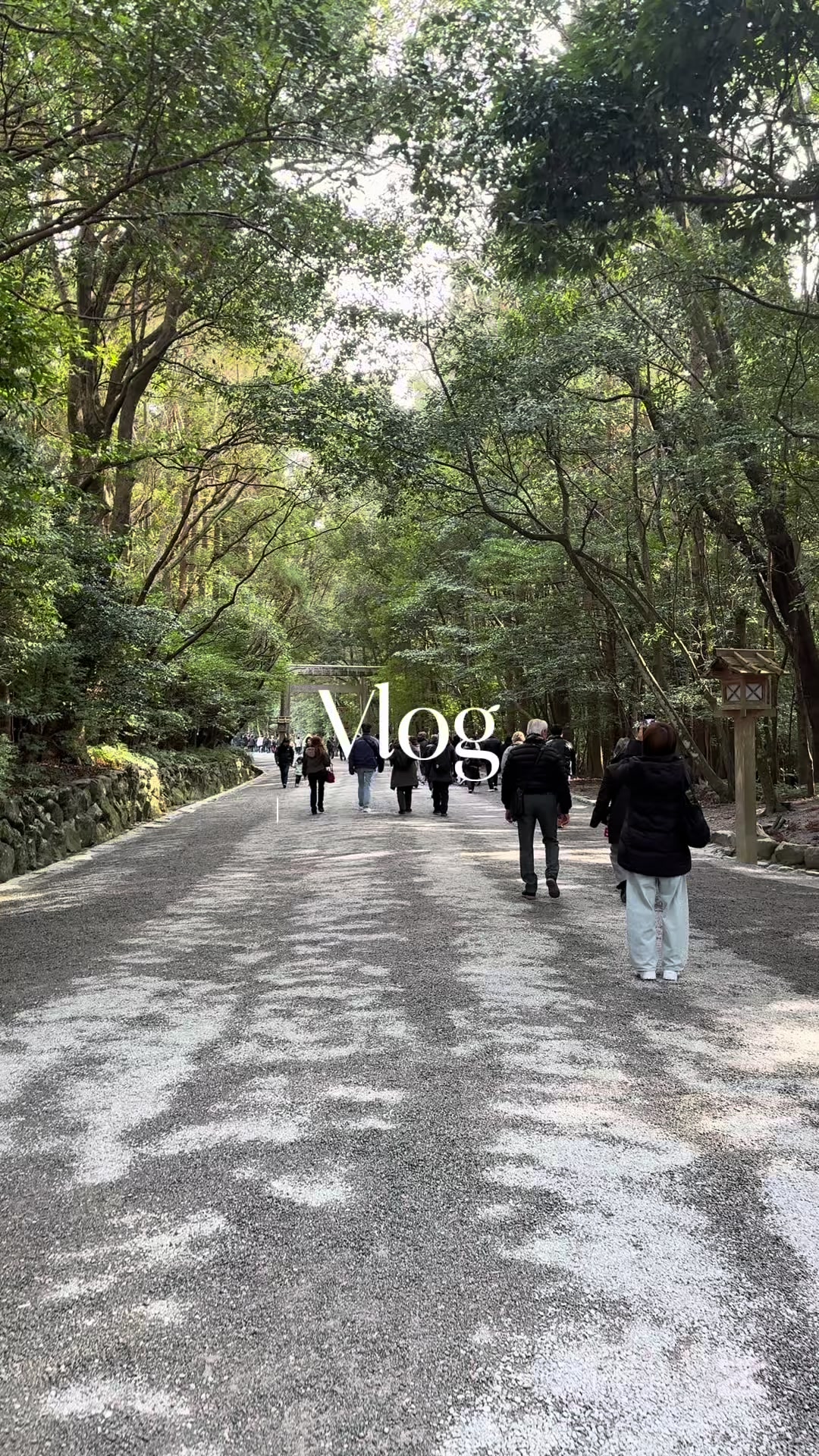 @amane | 気まぐれ韓国女子のvlog