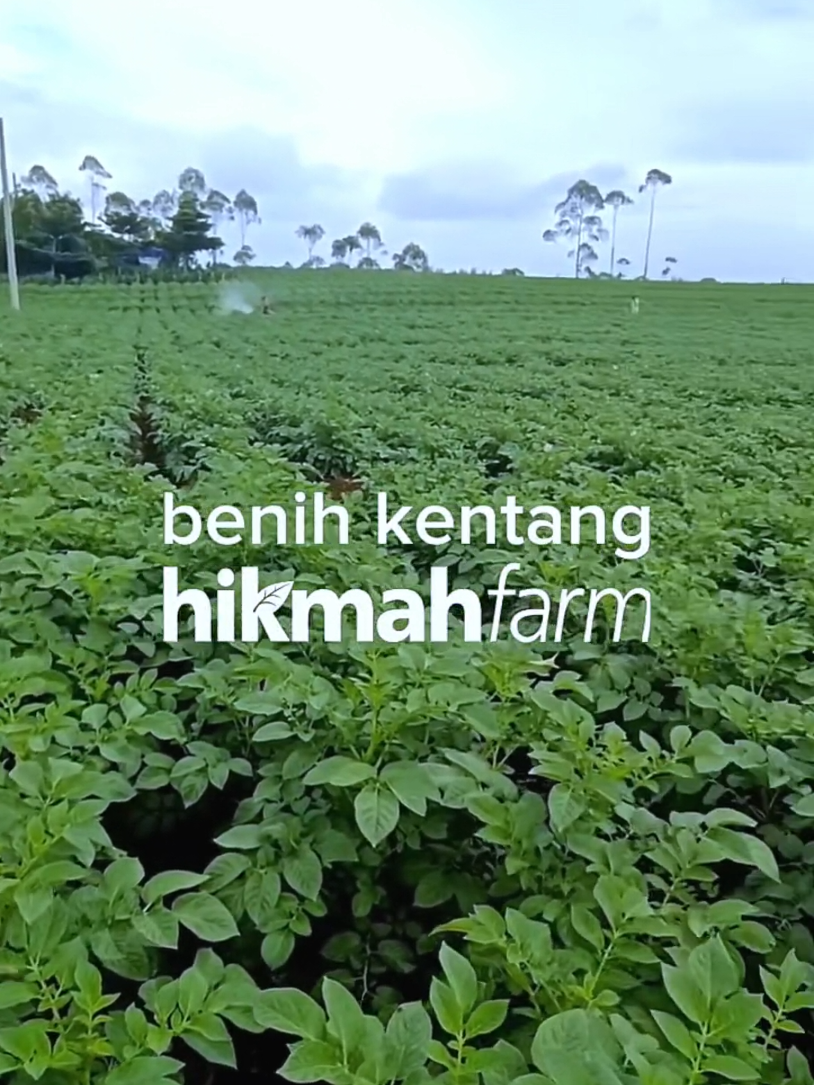 @@hikmahfarm_pangalengan