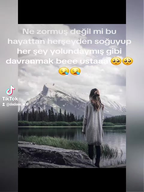 @⚜️wolf usta ⚜️