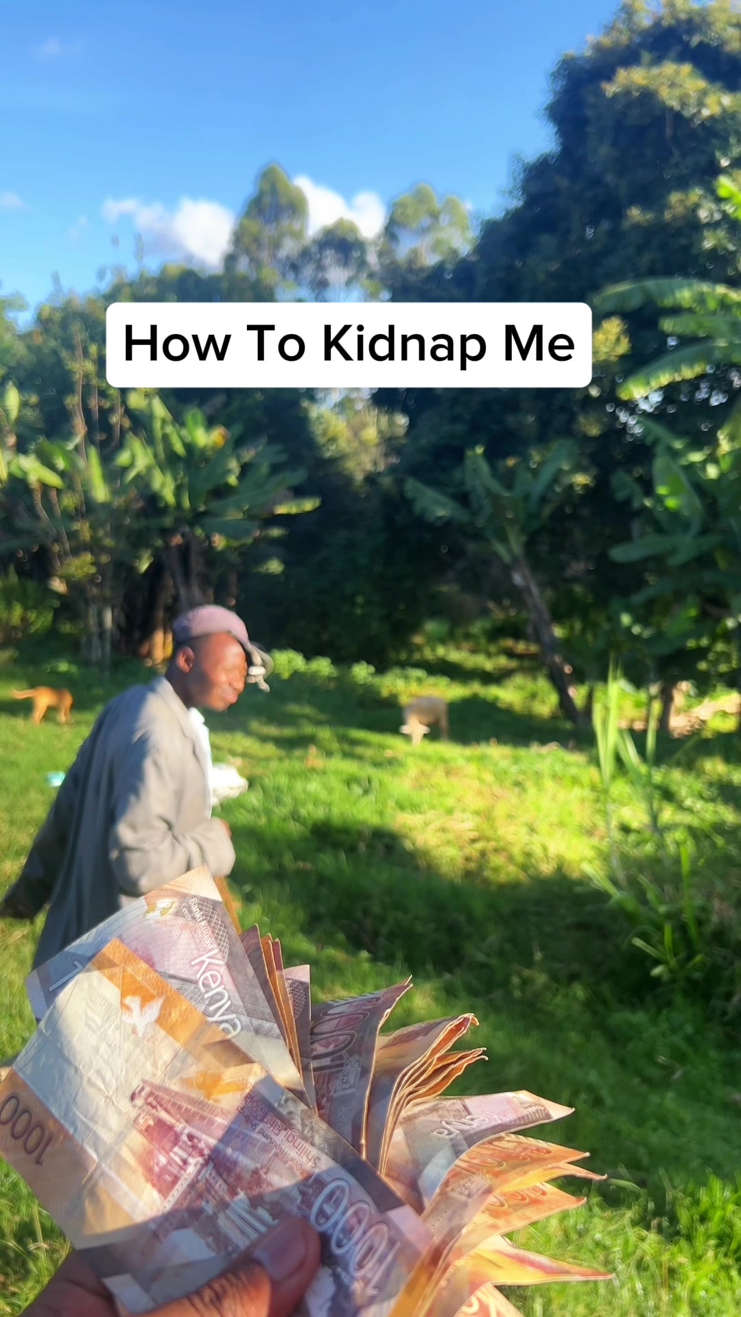 @Nyojoro