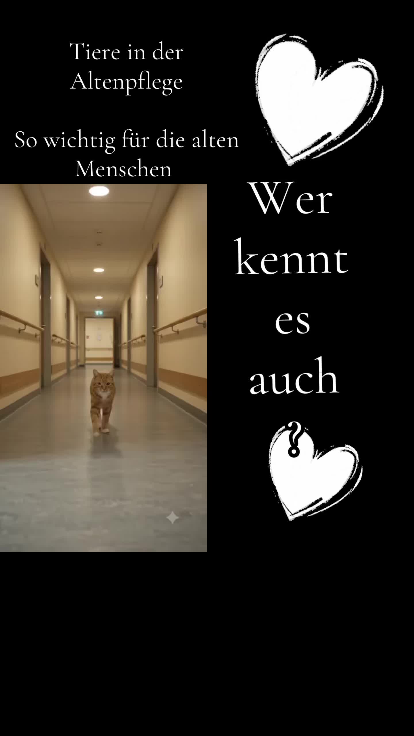 @🫧ᔕᗩᔕᑕᕼᗩ🫧