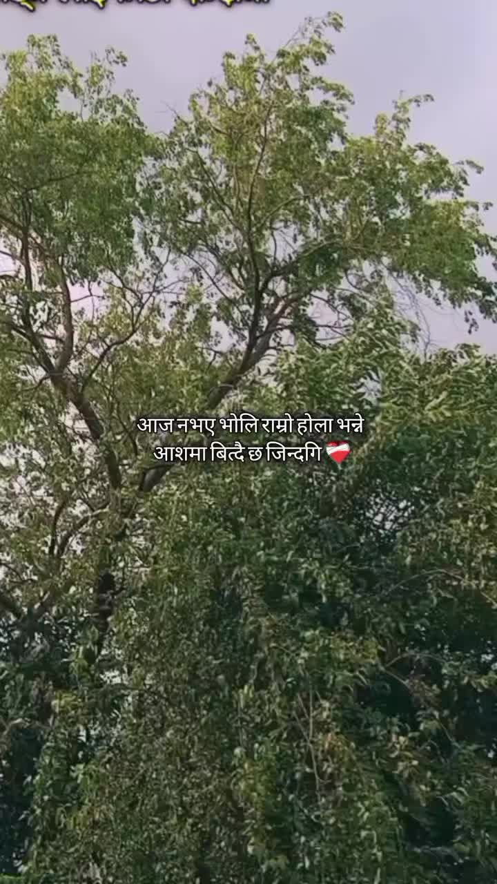 @प्रबिन किराँती सुनुवर