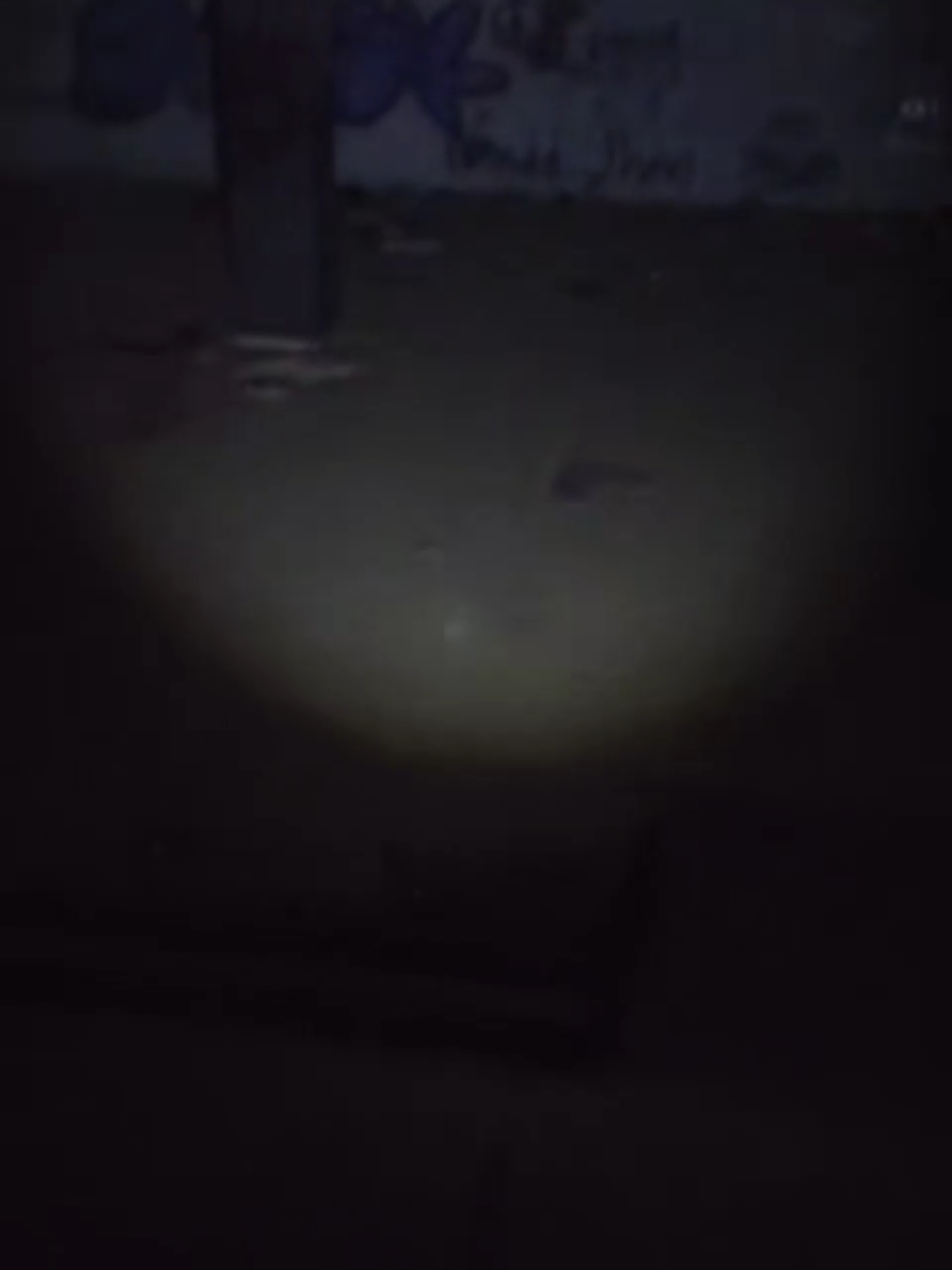 @PARANORMAL SİNAN