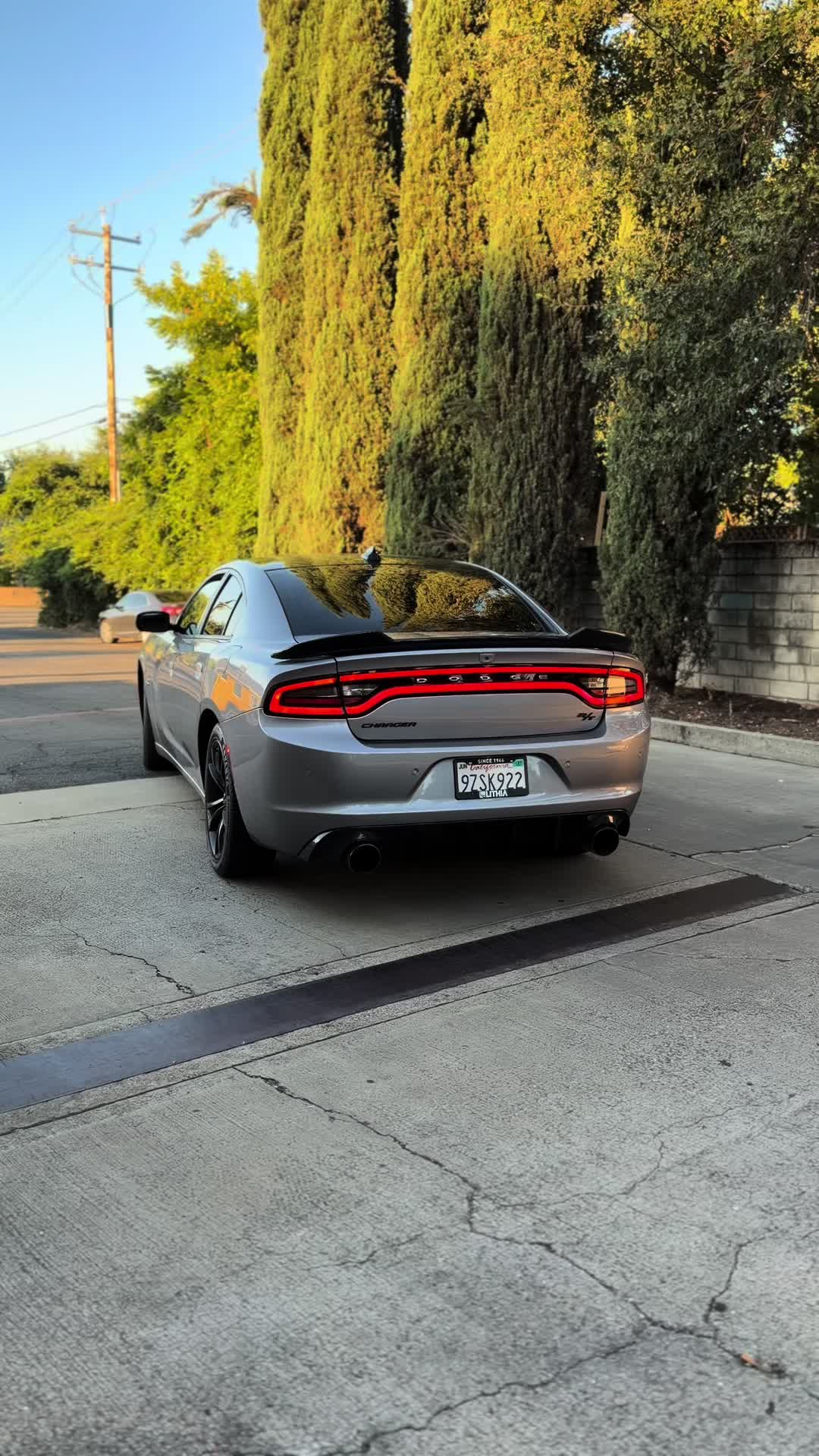 @HailsRt 🩶