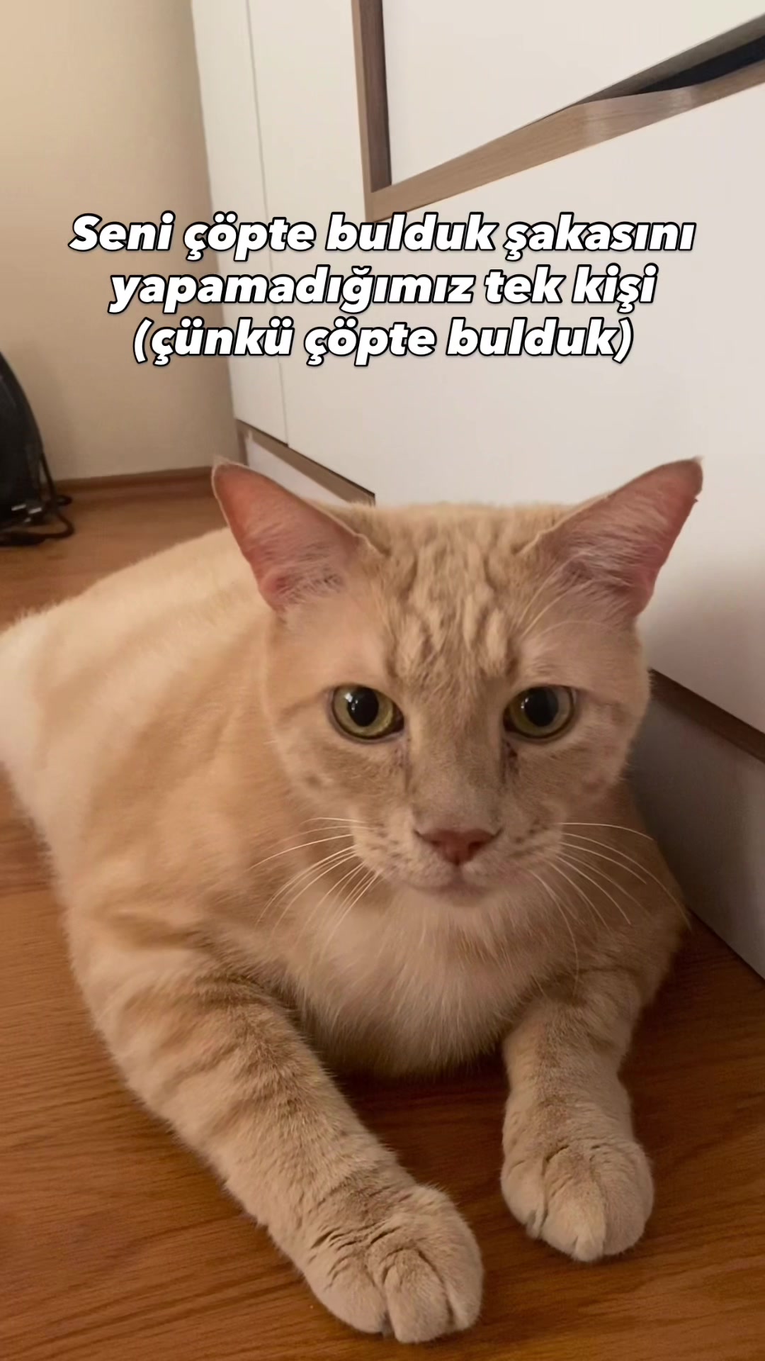 @Ruyakx