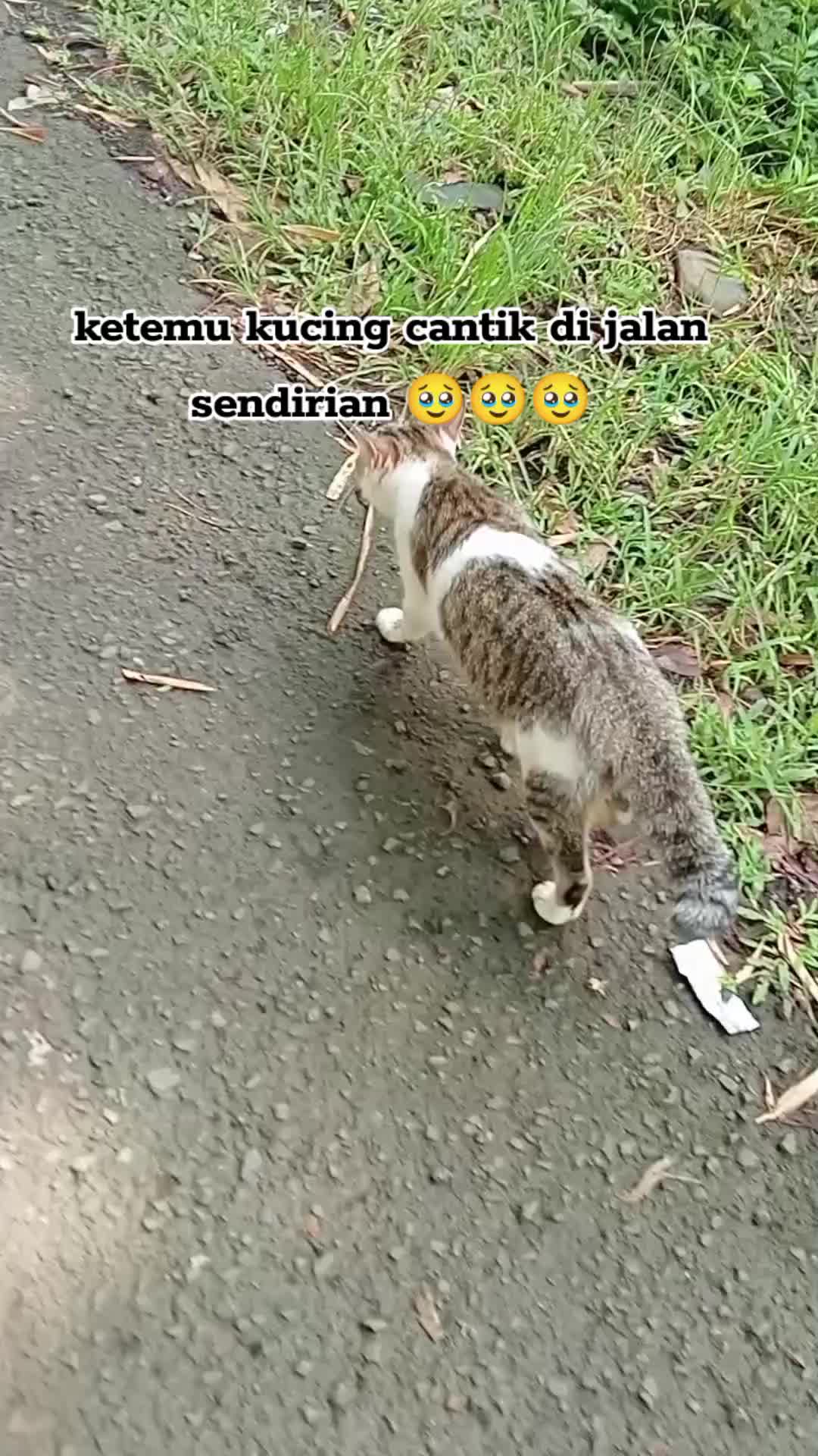 @Lina herlina