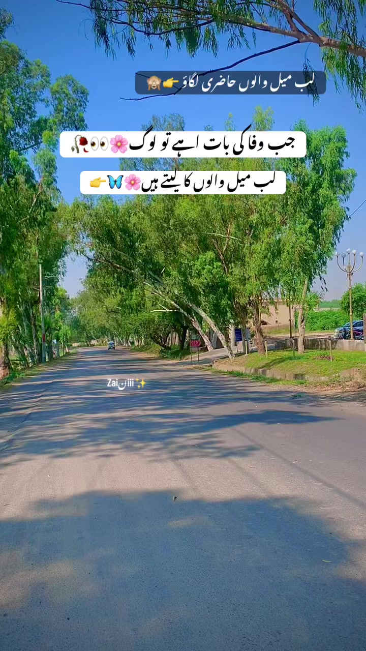 @جانی❣️z