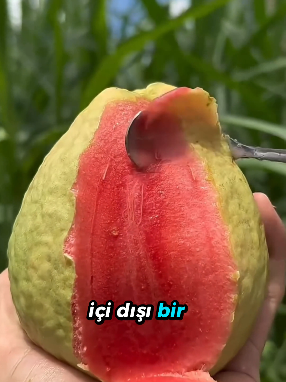 @beynegrafya