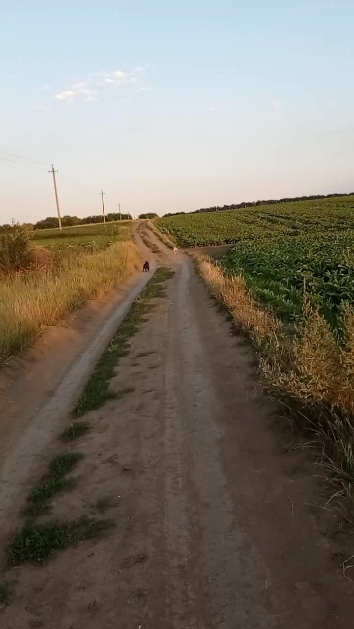 @Алла