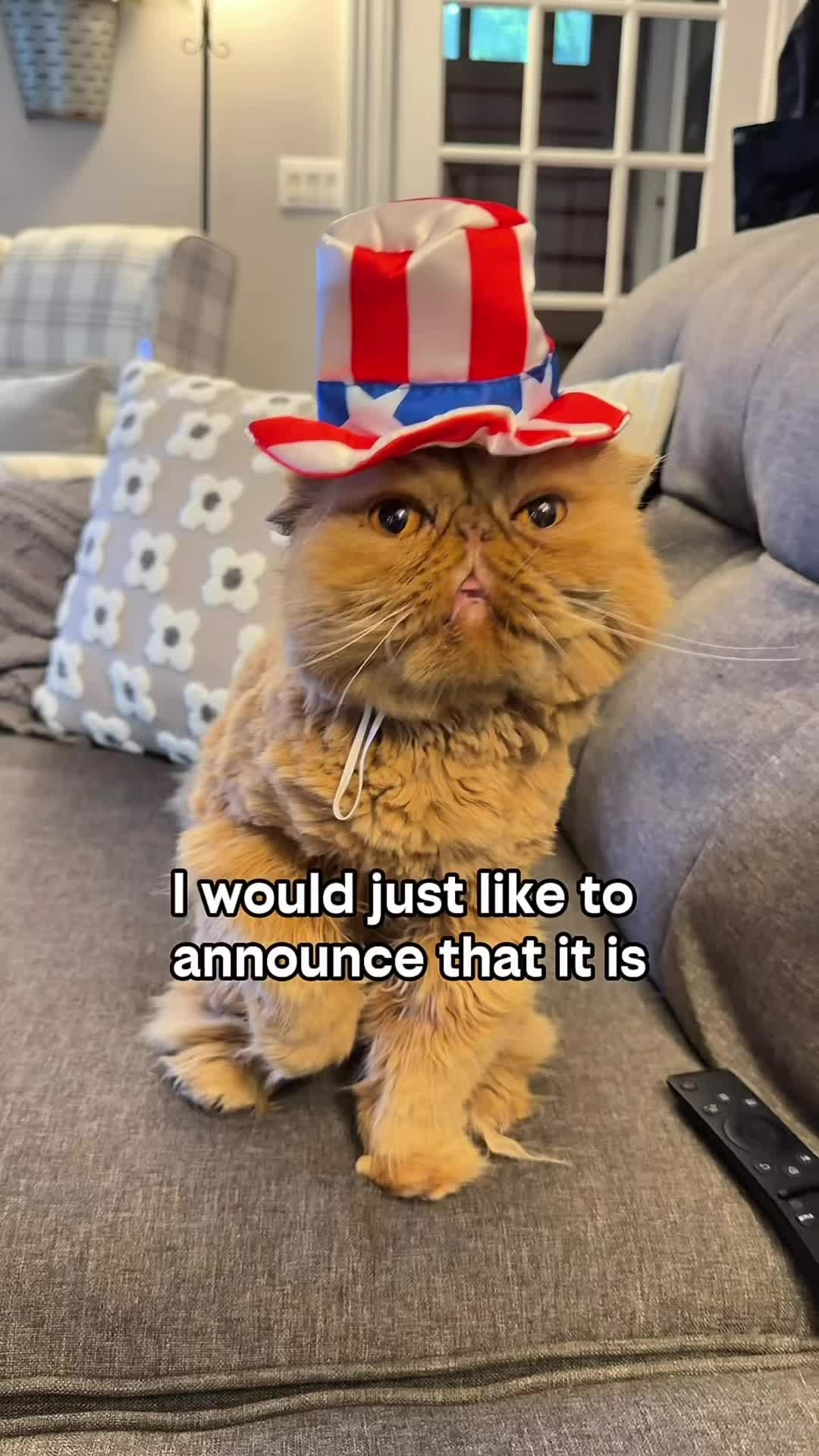 @Walter Bishop The Cat