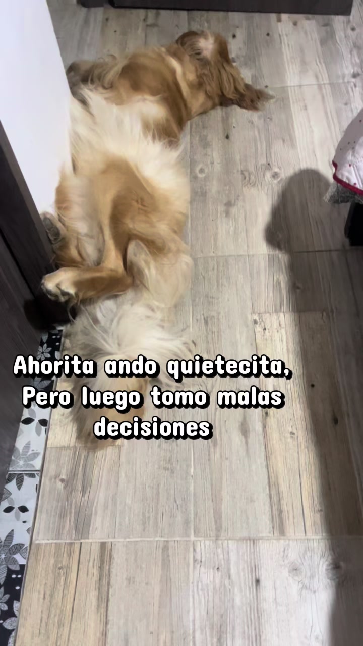 @Mila 🐶