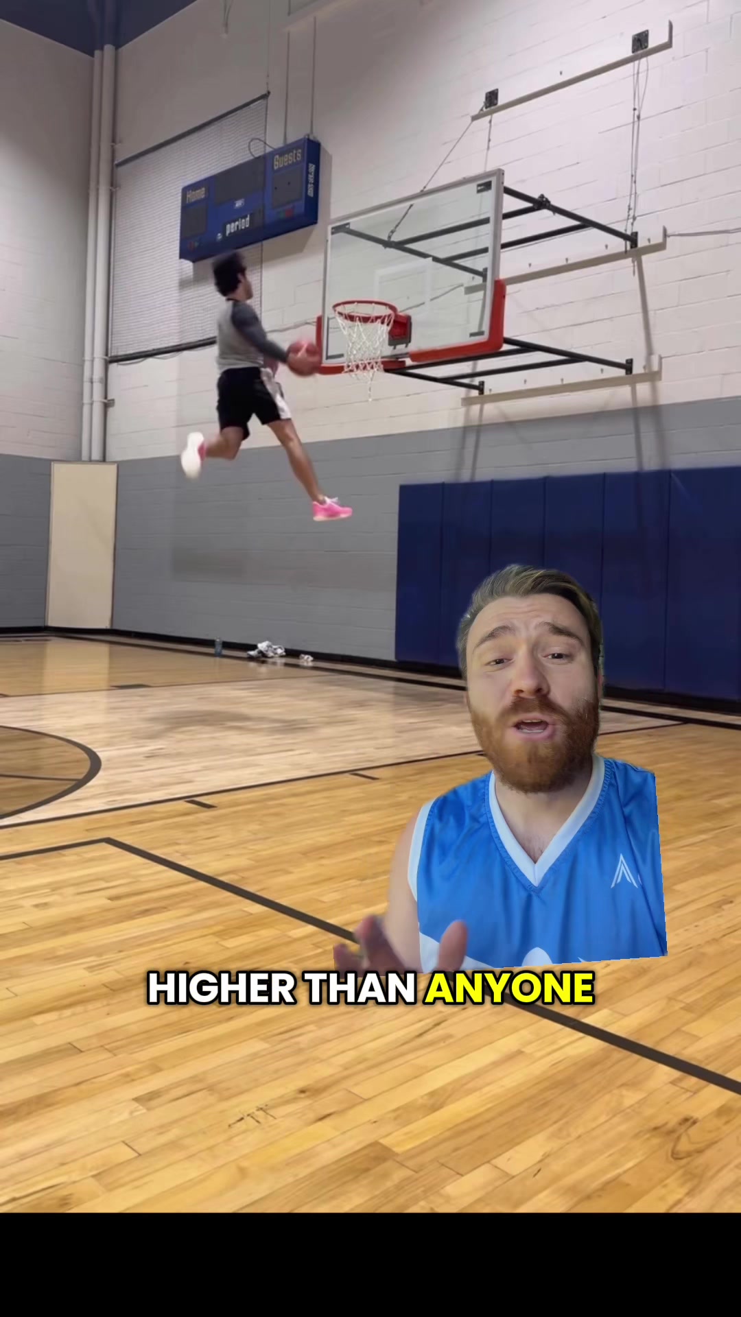 @Mr Bearded Dragon