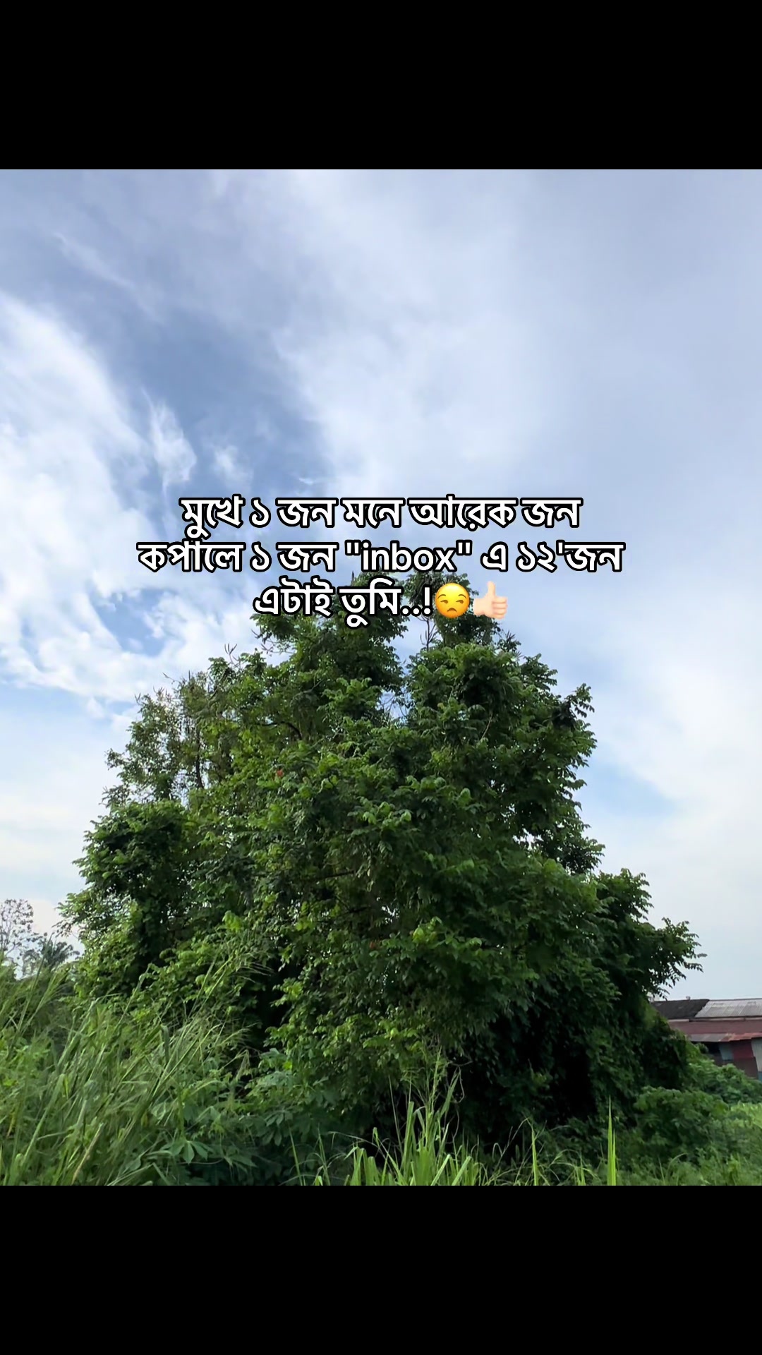 @đ° đĻ đ đ đ đ đ°'âĄ