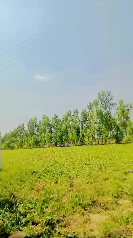 @Sajid Nihalka
