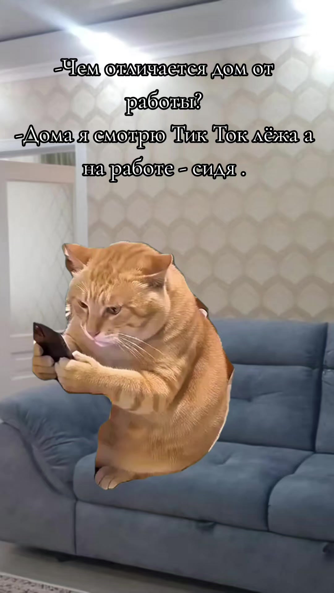 @Tanyshka 🐺🐺СТАЯ🐺🐺