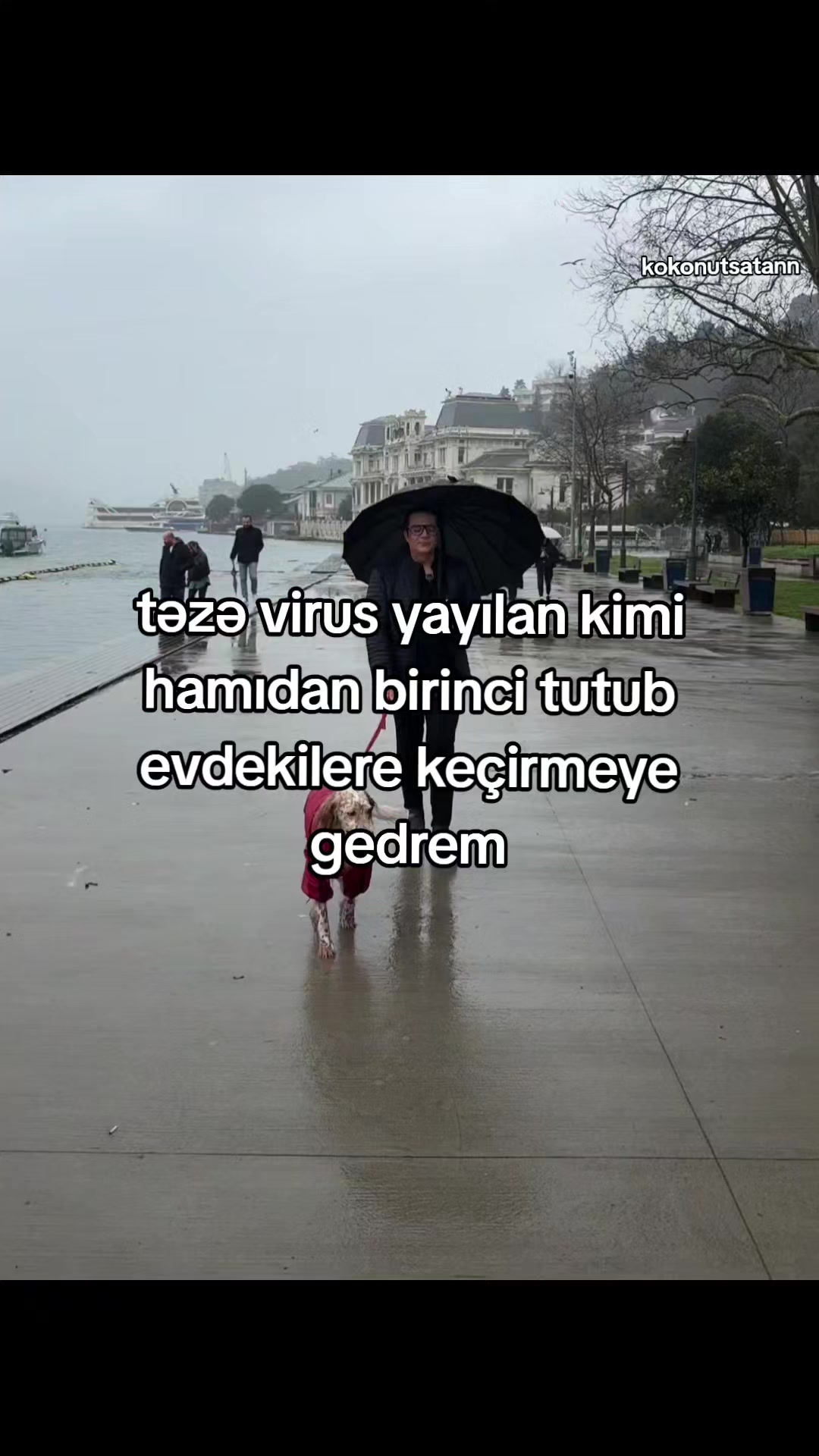 @🥥