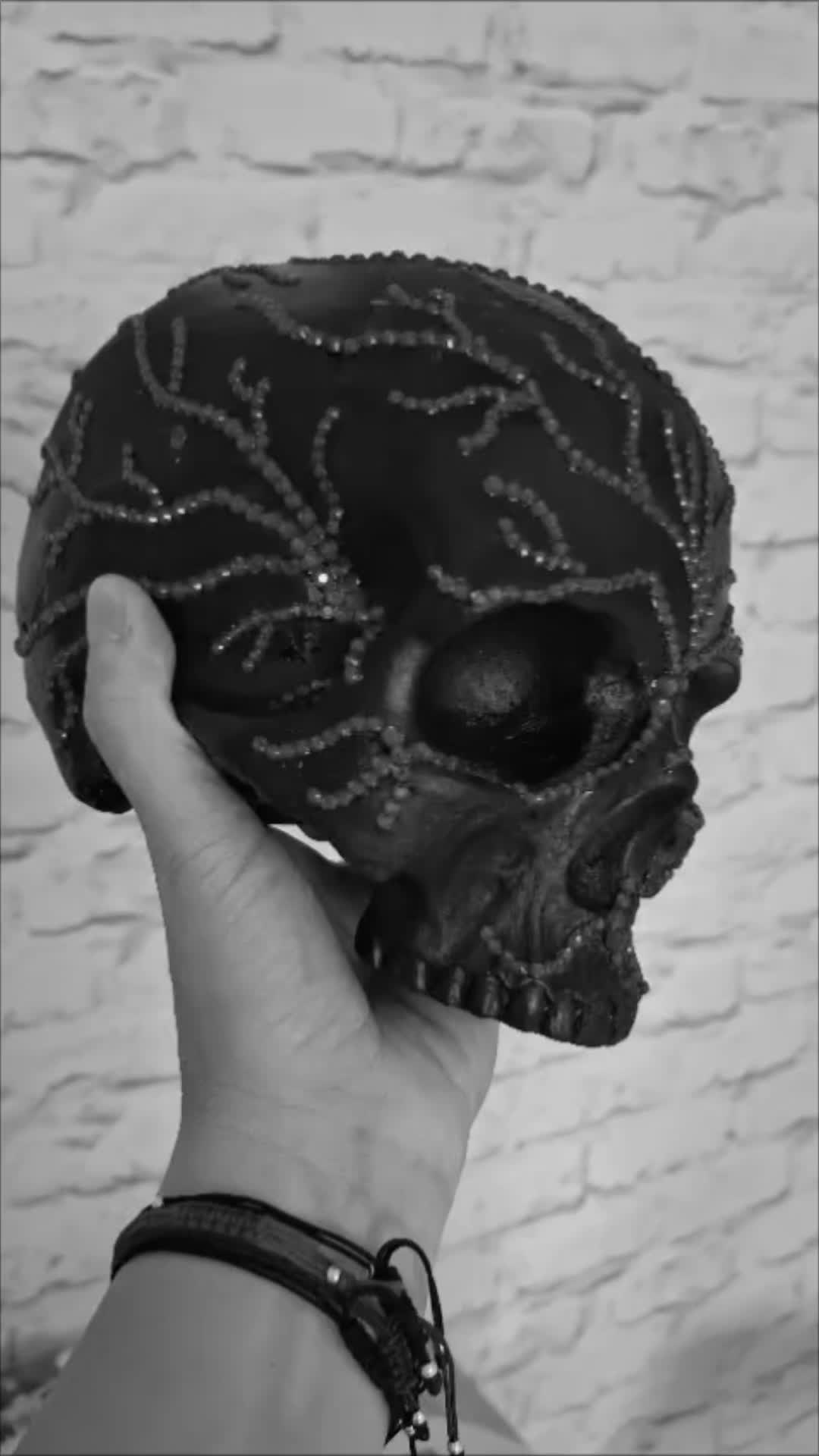 @Lejdi Czacha 💀