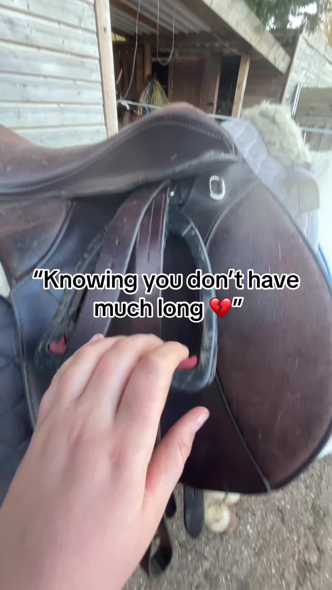 @kiki_and_kicks