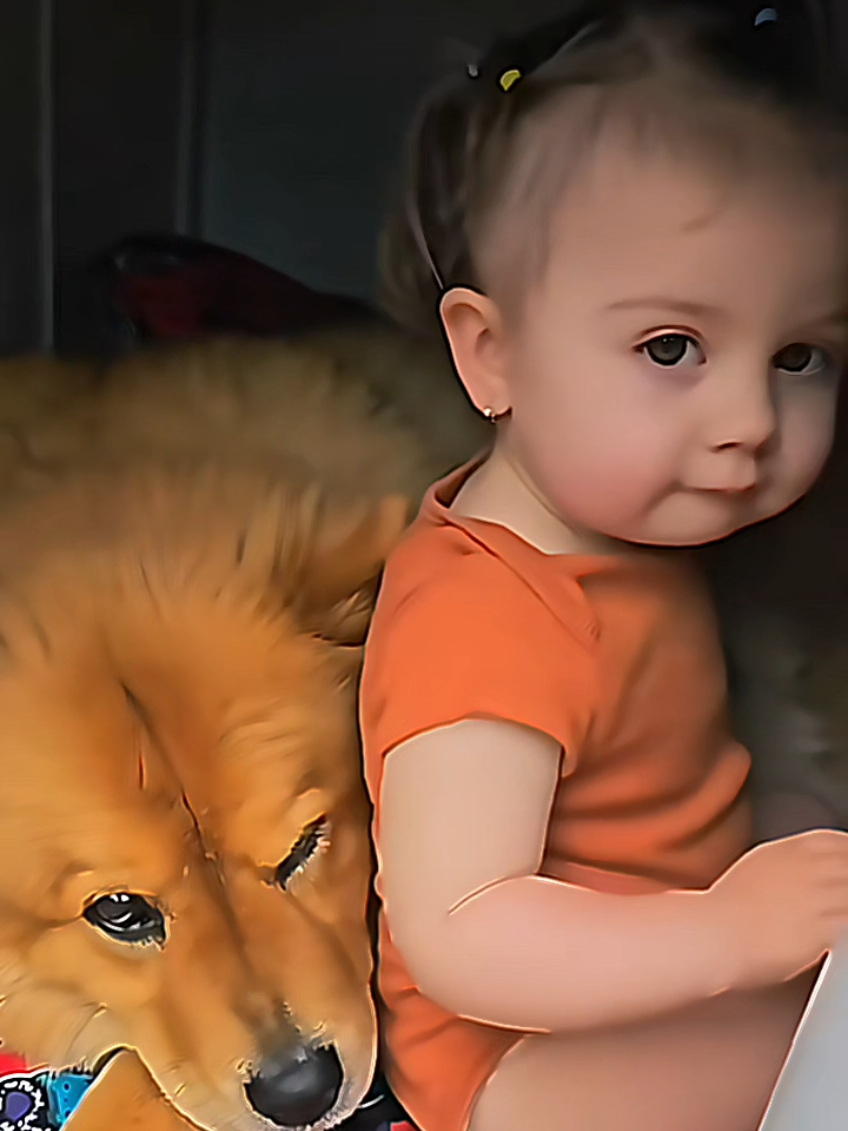 @dogmomentsdaily