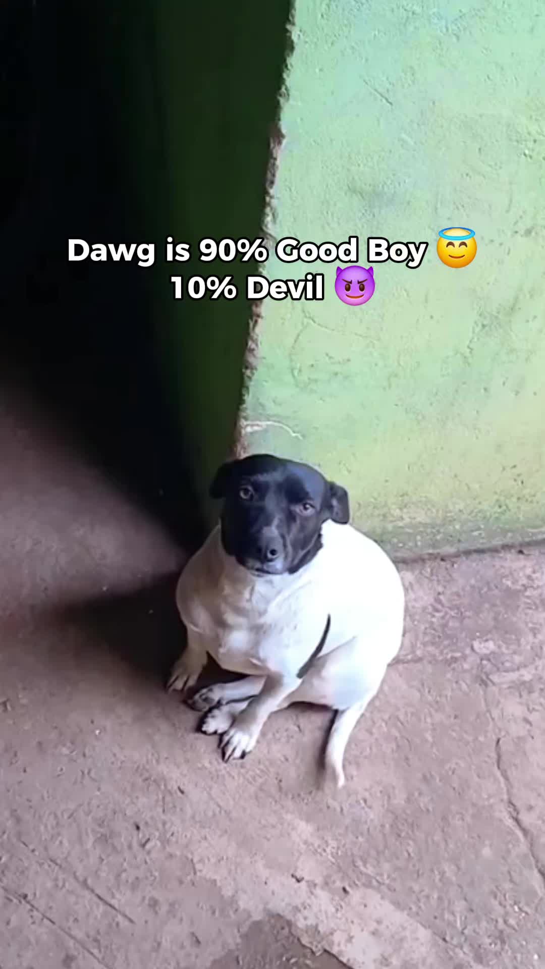 @donpollo2982