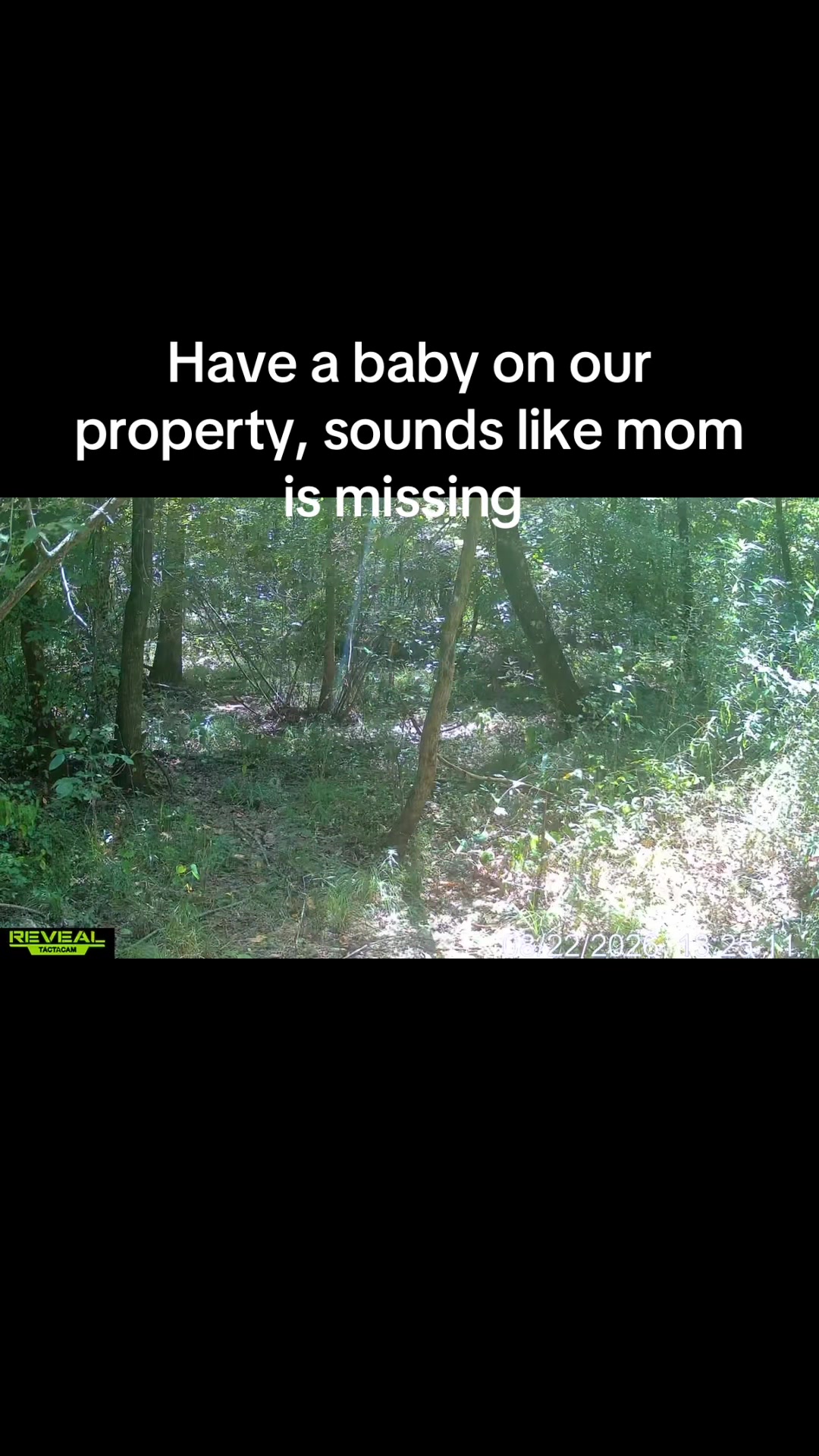 @Toi Batton_GIGI_WTBuckOutdoors