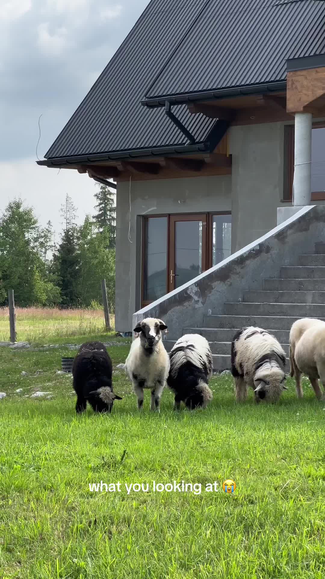 @📽️ ig: yariczek