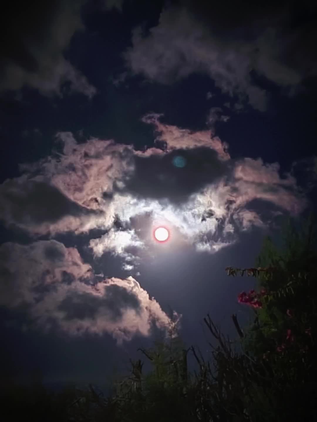 @𝑨𝒔𝒉𝒚🪽