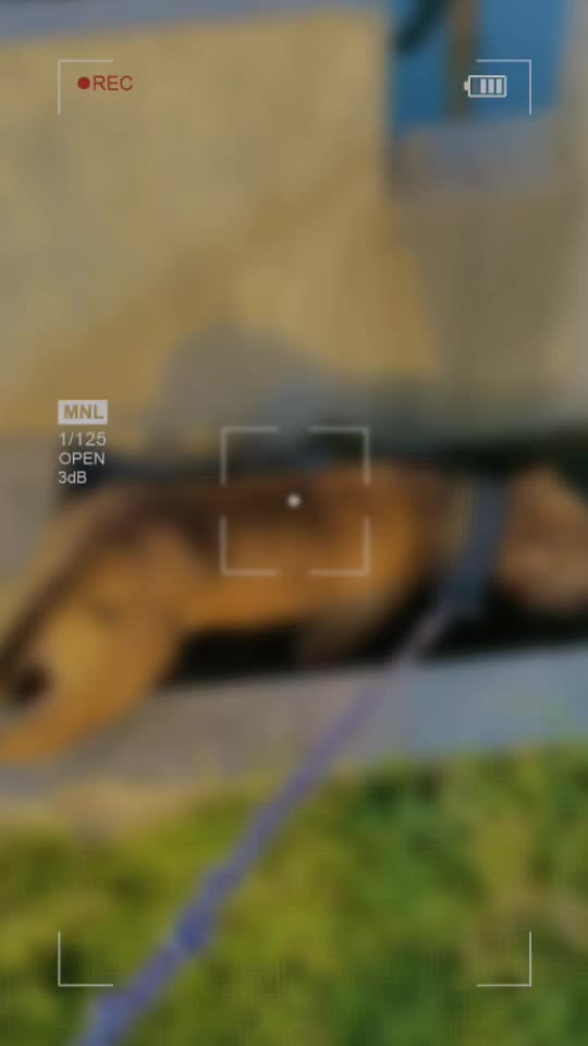 @ਅਰੂਨਵੀਰ ਛਿੰਜਰ