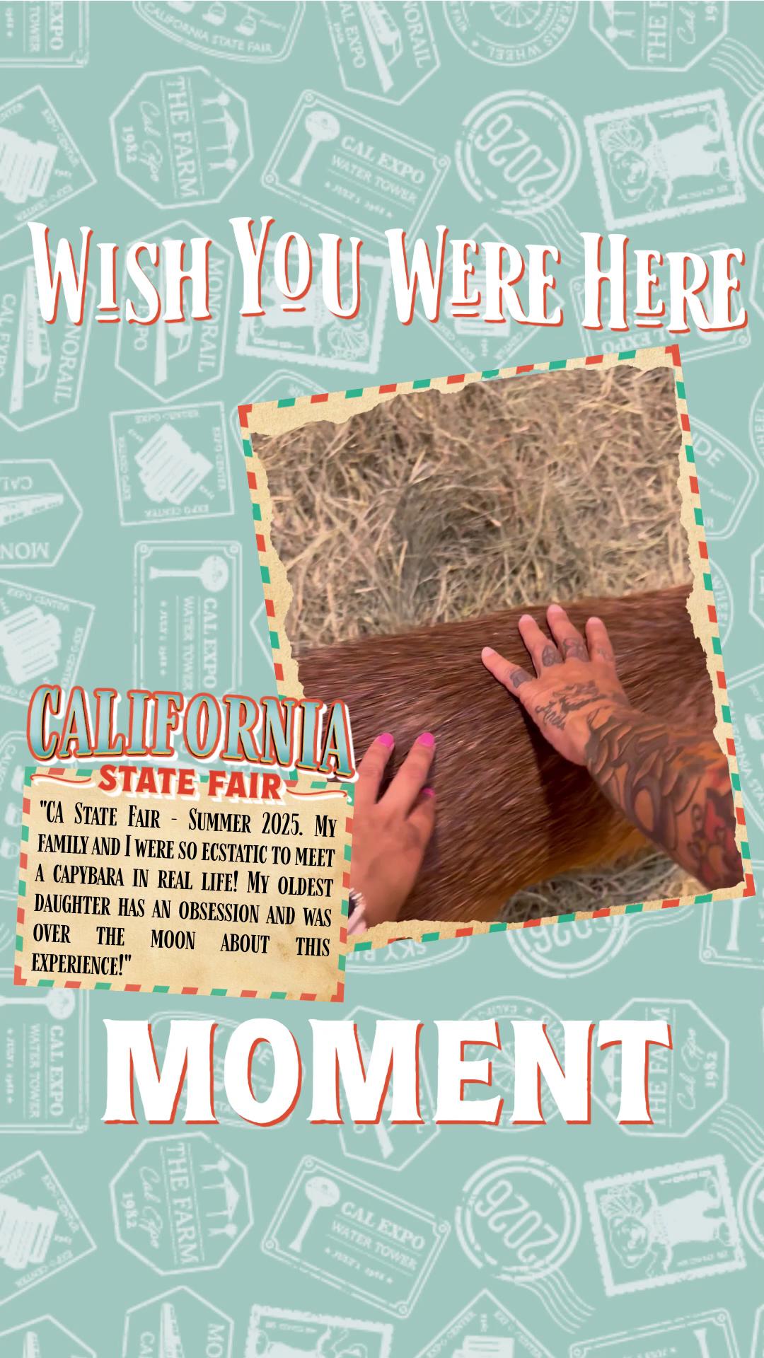 @CA State Fair