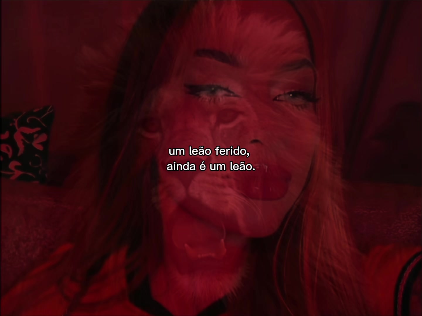 @Rafa Amorim