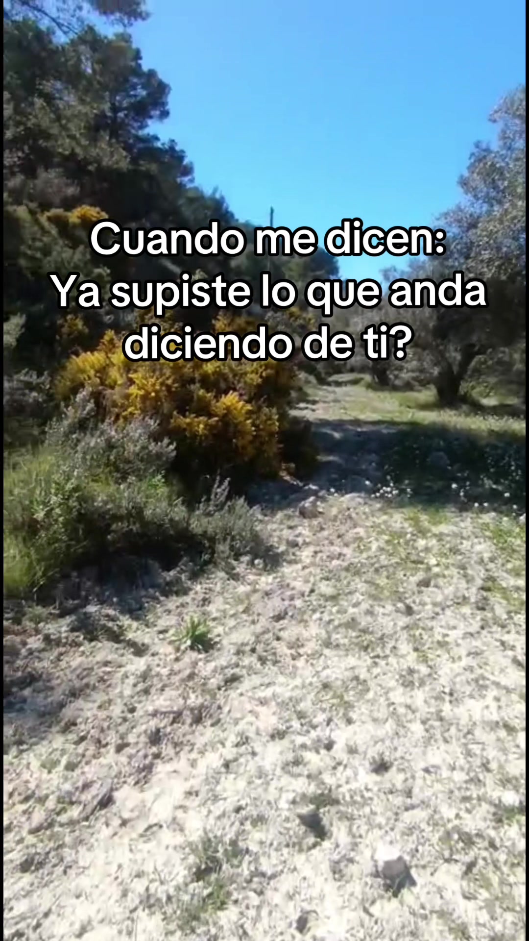 @Andy Martinez P.
