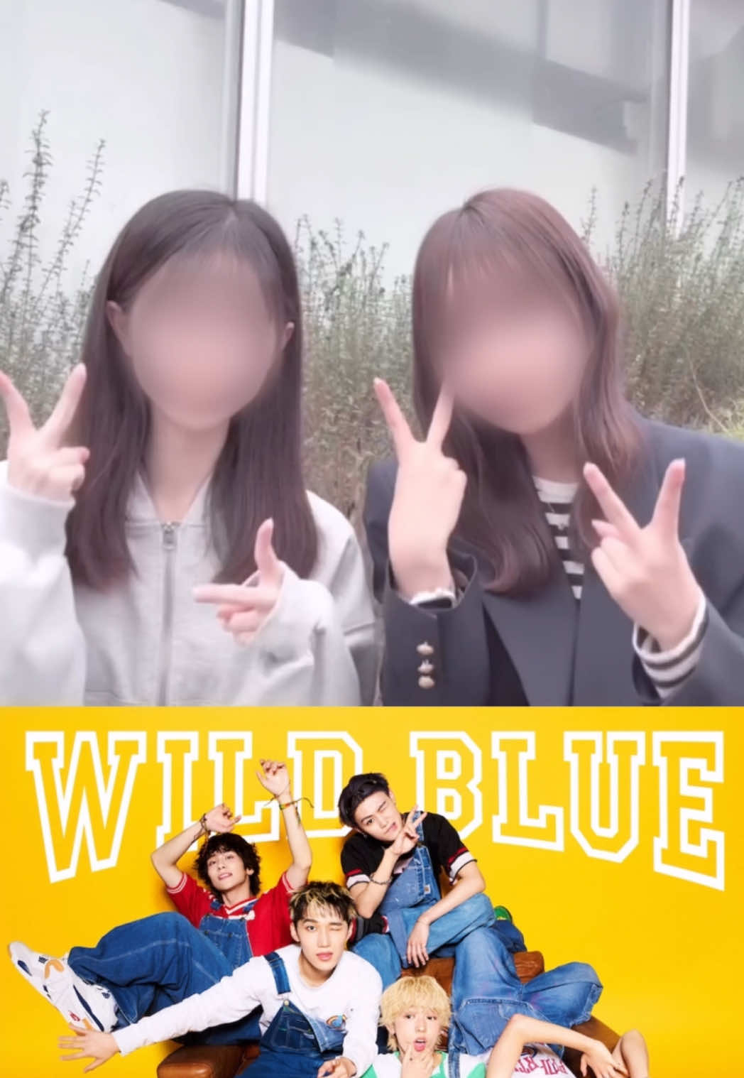 @ミタン🦊