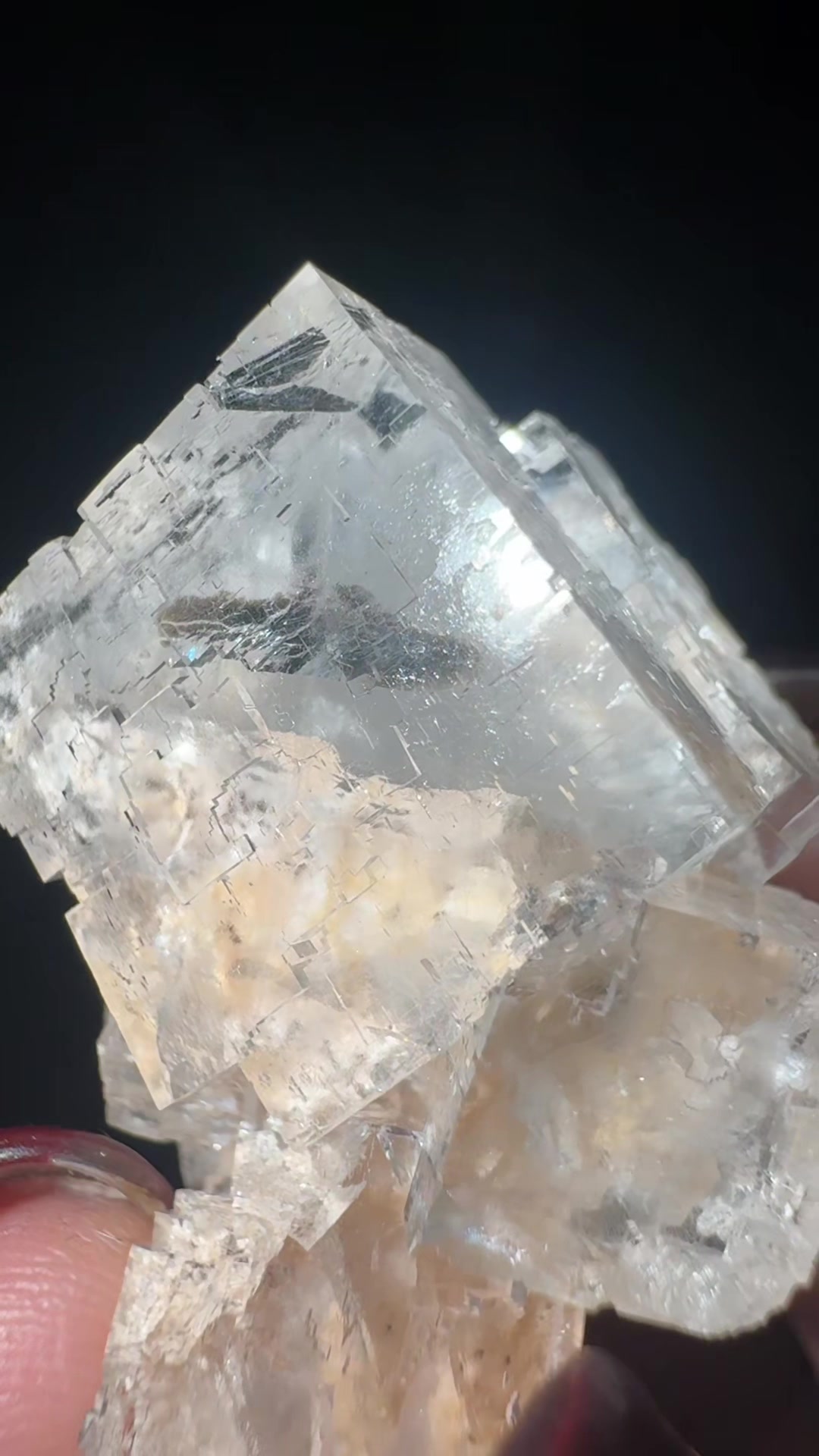 @Bella’s Crystal collection
