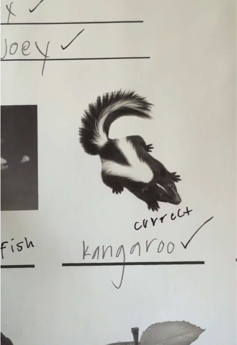 @KangarooHanger