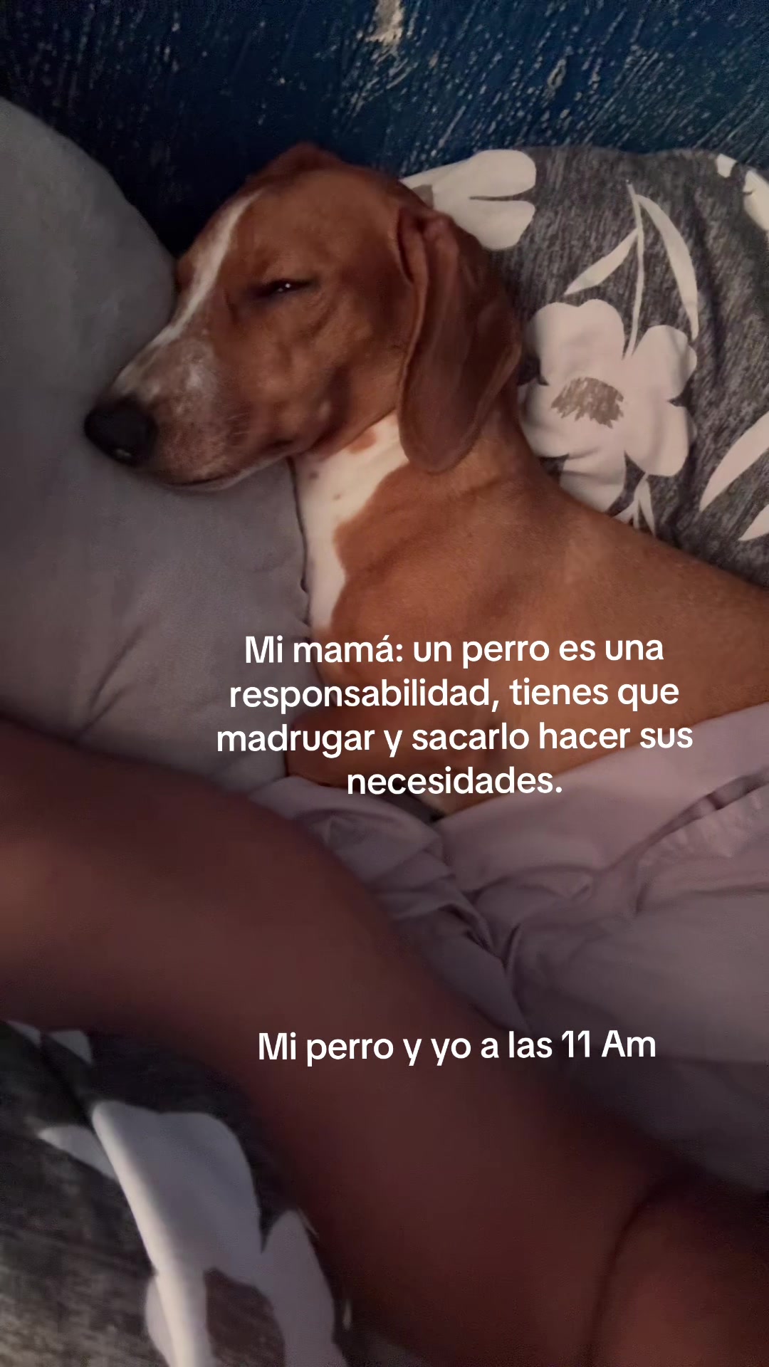 @Alberto leue