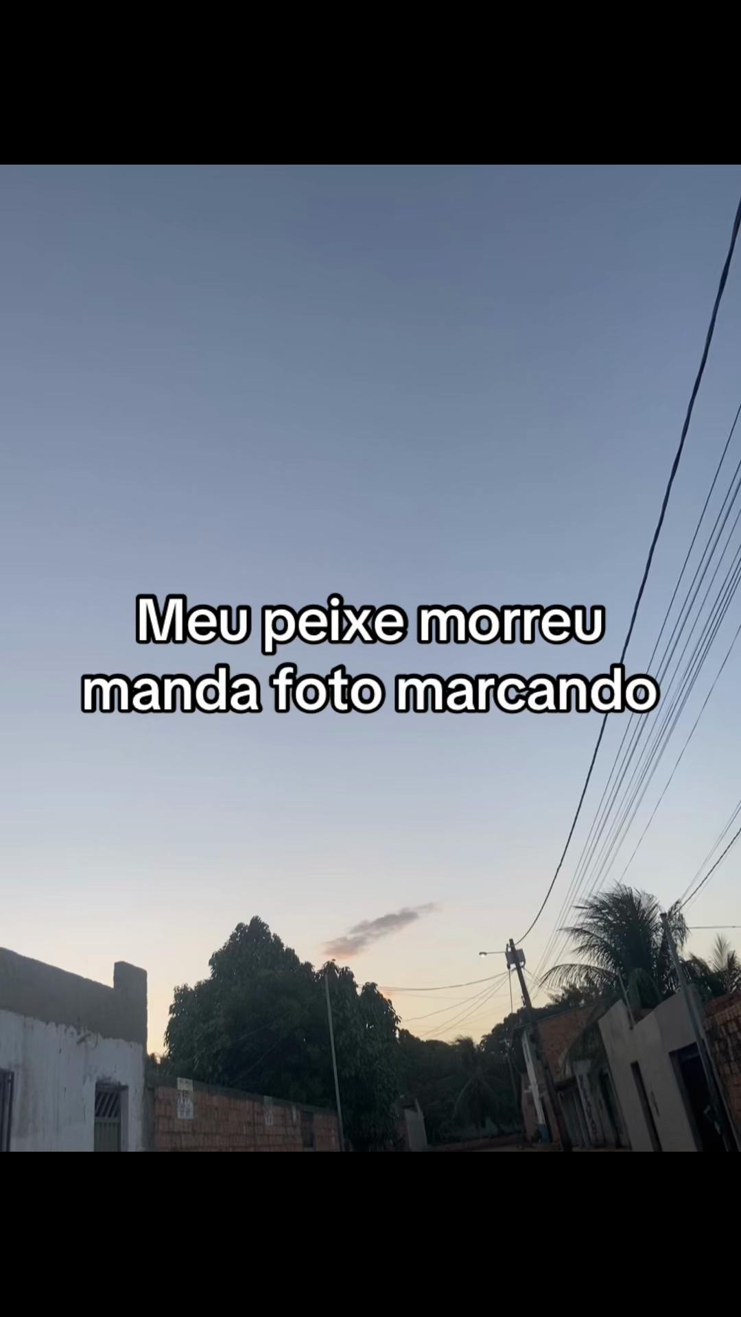 @manuelaypriv