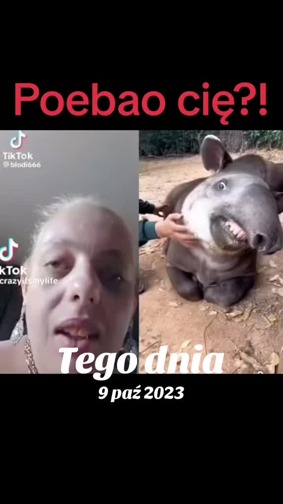 @Renaciorka💅🏻