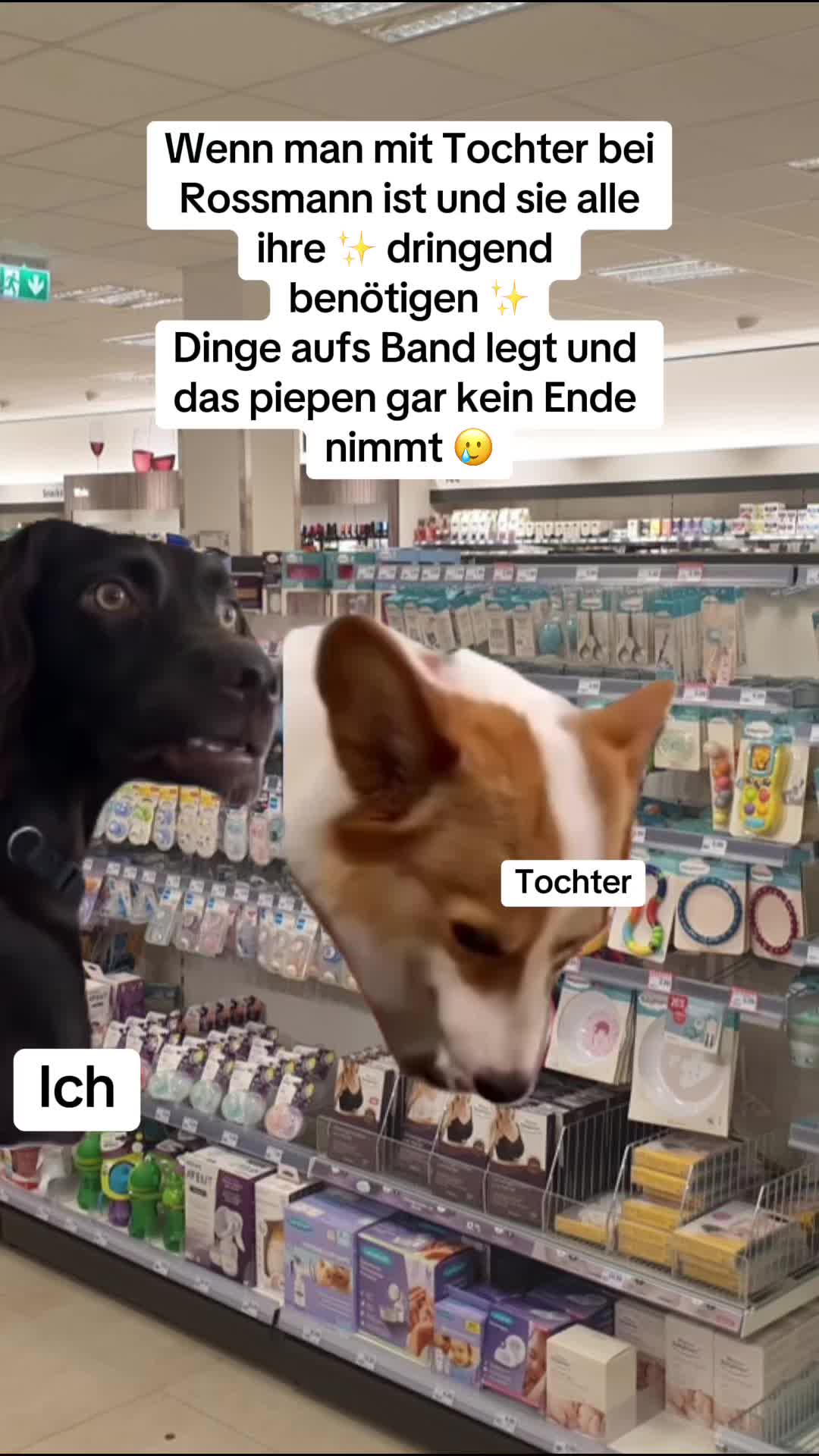 @𝐒 𝐔 𝐒 𝐈
