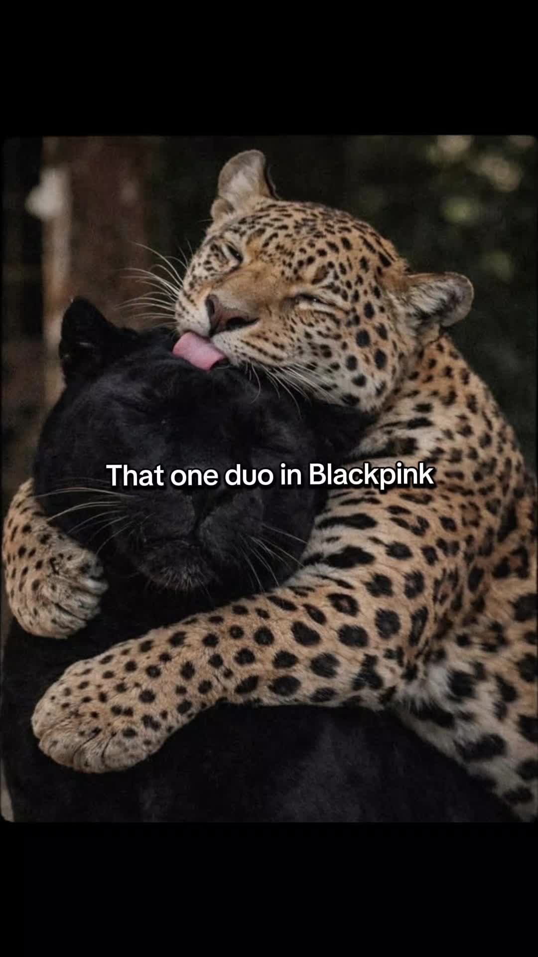 @AMY, BLINKEU𐙚