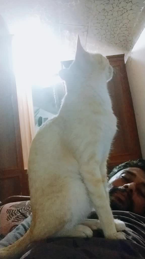 @കുഞ്ഞി..🐈