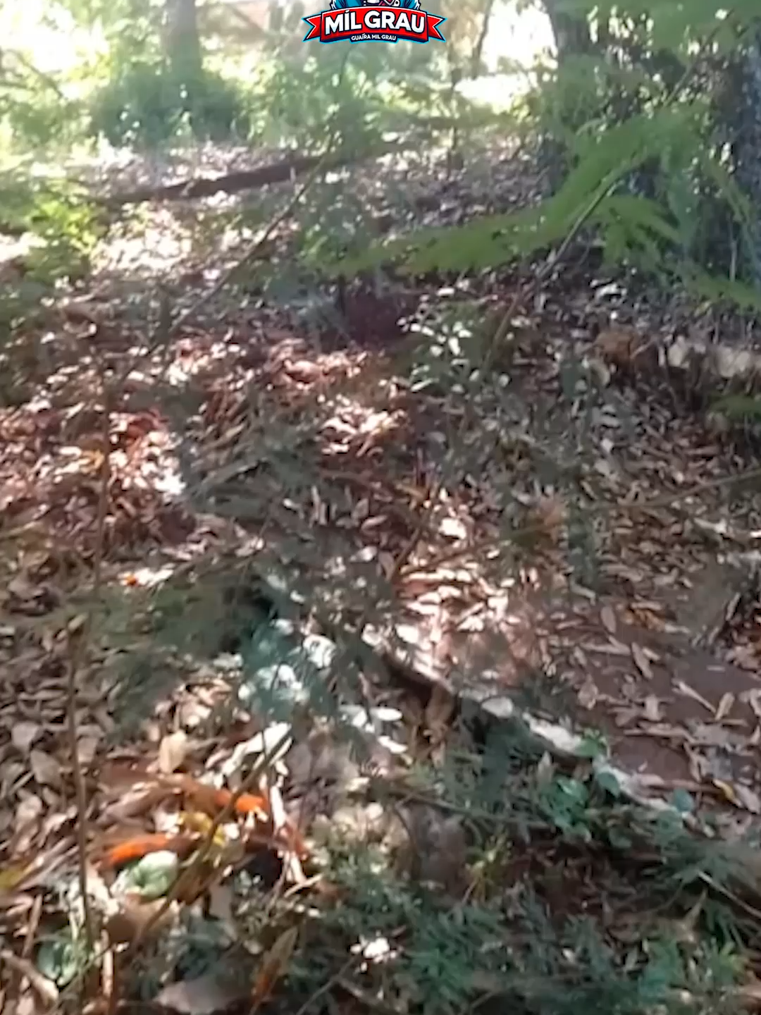 @Guaíra Mil grau Oficial