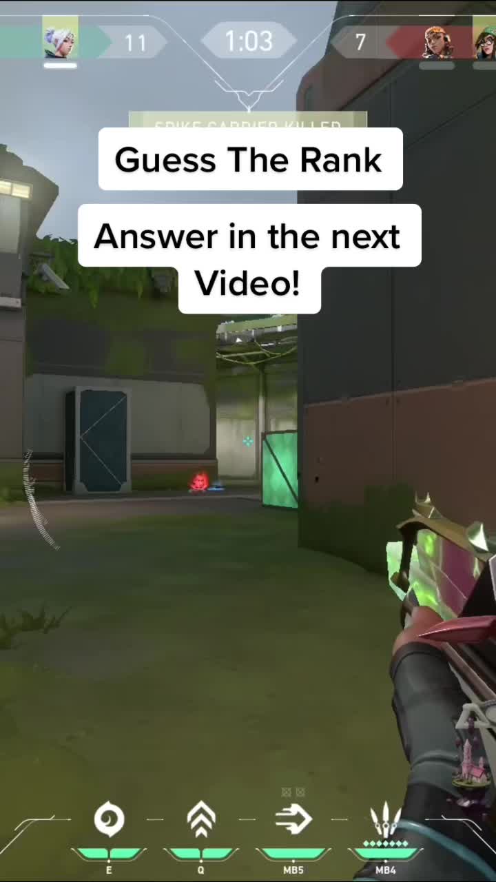 @ted
