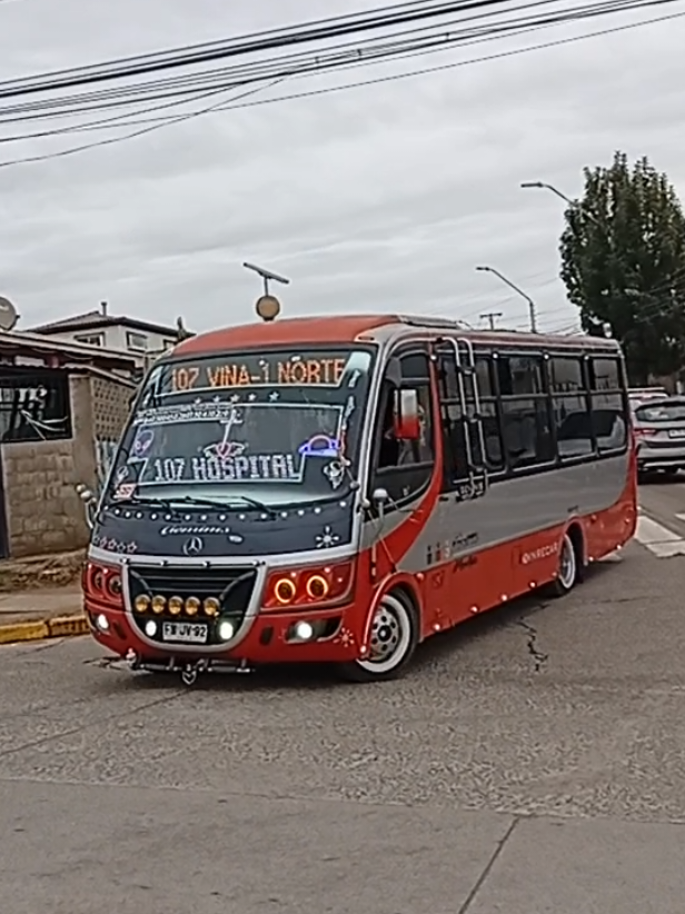 @busologia_wasabi