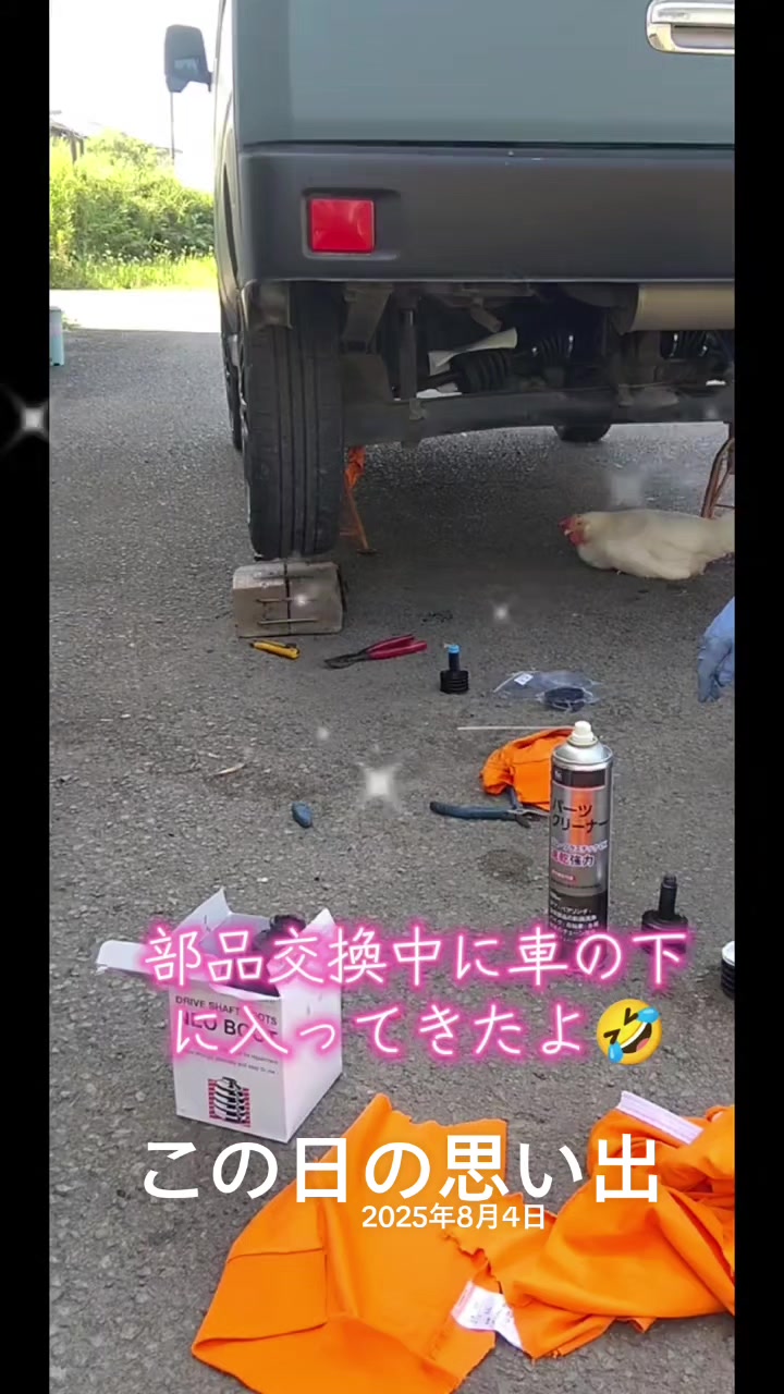 @ANIMAL♡M