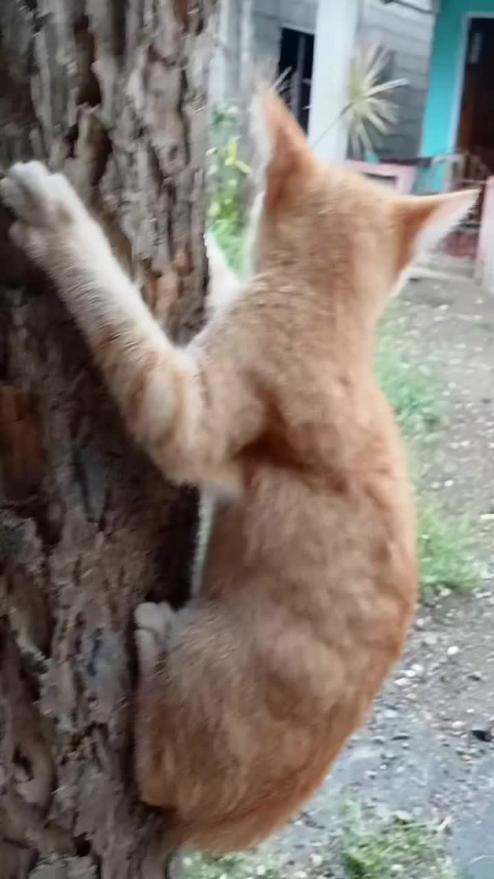 @Y